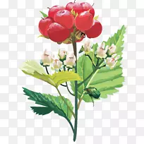 花卉设计-空若网 花卉设计-空若网