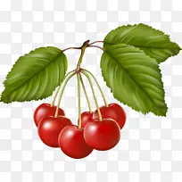 ӣ��ݮ��������-ӣ��-������