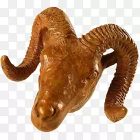 陆生动物-动物-空若网 陆生动物-动物-空若网