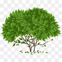 ��-��-������