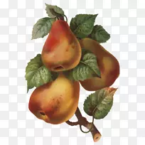 ������Ӱ��ȻʳƷ-ƻ��-������