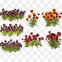 潘西花卉设计紫罗兰年植物剪贴画.紫罗兰-空若网 潘西花卉设计紫罗兰年植物剪贴画.紫罗兰-空若网