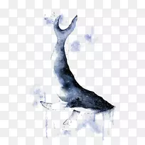 鲸鱼水彩画插图.水墨鲸-空若网 鲸鱼水彩画插图.水墨鲸-空若网