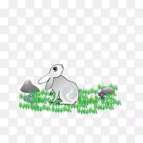 欧洲兔花画月兔-空若网 欧洲兔花画月兔-空若网