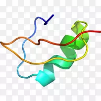 叶身珠宝剪贴画-叶-空若网 叶身珠宝剪贴画-叶-空若网