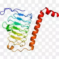 人体首饰有机体线剪贴画线-空若网 人体首饰有机体线剪贴画线-空若网