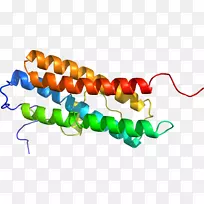 珠线剪贴画线-空若网 珠线剪贴画线-空若网