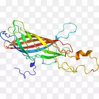 �ߵ������-��-������