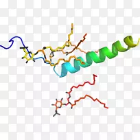 线点生物剪贴画线-空若网 线点生物剪贴画线-空若网