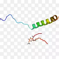 �ߵ������������-������