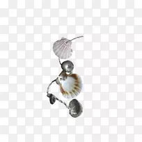 贝壳夹-贝壳首饰-空若网 贝壳夹-贝壳首饰-空若网