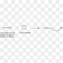 ֽ�����-������