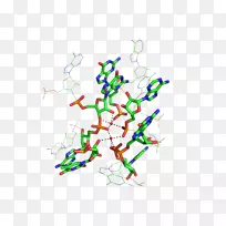 �ߵ�������-������