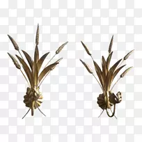 �̱���ֲ�ﾥ����Ʒ��-������