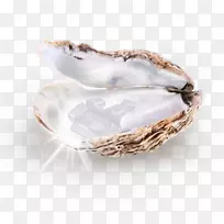 ���鱦ʯPinctada Maxima��ֳ���鱦ʯ-������