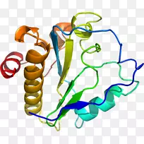人体首饰有机体线剪贴画线-空若网 人体首饰有机体线剪贴画线-空若网