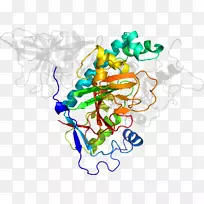 ƽ�������������-��-������