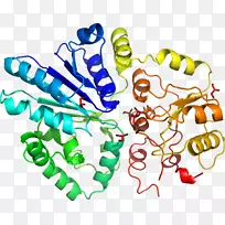 有机体线人类行为点剪贴画线-空若网 有机体线人类行为点剪贴画线-空若网