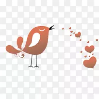 爱鸟图-爱情鸟-空若网 爱鸟图-爱情鸟-空若网