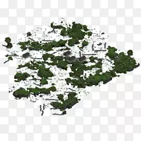 Ҷ��-������