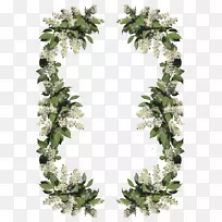 ������Ӱ.ֲ�ﻨ����Ե-������