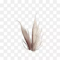 À¥³æ³á°ò-¿ÕÈôÍø À¥³æ³á°ò-¿ÕÈôÍø