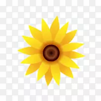 普通向日葵植物向日葵种子向日葵植物-空若网 普通向日葵植物向日葵种子向日葵植物-空若网