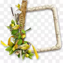 ɳĮ���-������