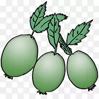 开花植物叶植物茎果夹艺术叶-空若网 开花植物叶植物茎果夹艺术叶-空若网