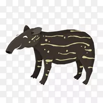 牛群动物食肉-绒毡层动物-空若网 牛群动物食肉-绒毡层动物-空若网