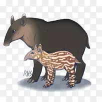 ����½������-��-������