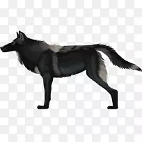 犬种雪伯克鼻子-破风器-空若网 犬种雪伯克鼻子-破风器-空若网