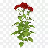 ͸���Ͱ�͸��������Ѷ΢��-������