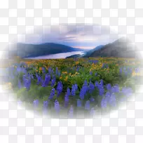 桌面壁纸tsovasar移动电话景观电话-空若网 桌面壁纸tsovasar移动电话景观电话-空若网