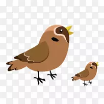 鸟嘴剪贴画-空若网 鸟嘴剪贴画-空若网