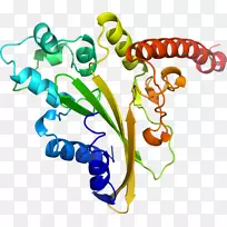 车身珠宝厂茎线剪贴画线-空若网 车身珠宝厂茎线剪贴画线-空若网