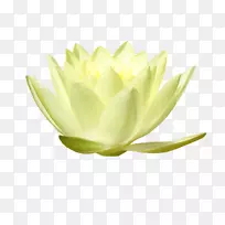 LiveInternet日记文字博客花瓣-空若网 LiveInternet日记文字博客花瓣-空若网