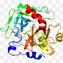 �߲��л���ϵ�м�����-�߲�-������