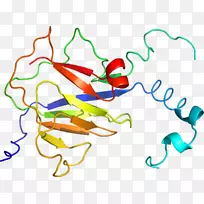 线点生物剪贴画线-空若网 线点生物剪贴画线-空若网