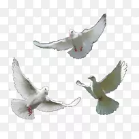 �Ÿ룬�Ҹ룬��룬���ӵĳ��-������