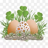 鸡蛋光栅图形鸡蛋-空若网 鸡蛋光栅图形鸡蛋-空若网