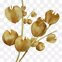 中心博客通讯-空若网 中心博客通讯-空若网