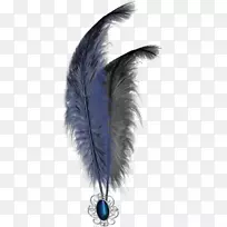 羽毛博客下载剪贴画-羽毛-空若网 羽毛博客下载剪贴画-羽毛-空若网