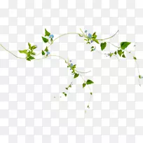 �������-������