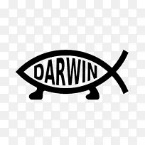 汽车贴标保险杠贴纸达尔文-菲什·伊奇提斯-汽车-空若网 汽车贴标保险杠贴纸达尔文-菲什·伊奇提斯-汽车-空若网