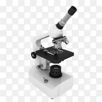 ��ѧ��΢��ϸ����ѧ��-������