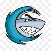 鲨鱼保险杠贴纸鱼夹艺术-鲨鱼-空若网 鲨鱼保险杠贴纸鱼夹艺术-鲨鱼-空若网