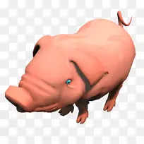 家猪鼻子,阿克曼&合作伙伴Gbr-猪-空若网 家猪鼻子,阿克曼&合作伙伴Gbr-猪-空若网