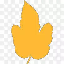 开花植物果肉线-空若网 开花植物果肉线-空若网