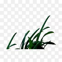 Ҷͼ-ֲ��-������